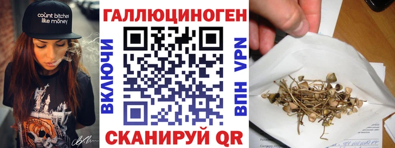 Псилоцибиновые грибы прущие грибы  цены наркотик  Кинешма 